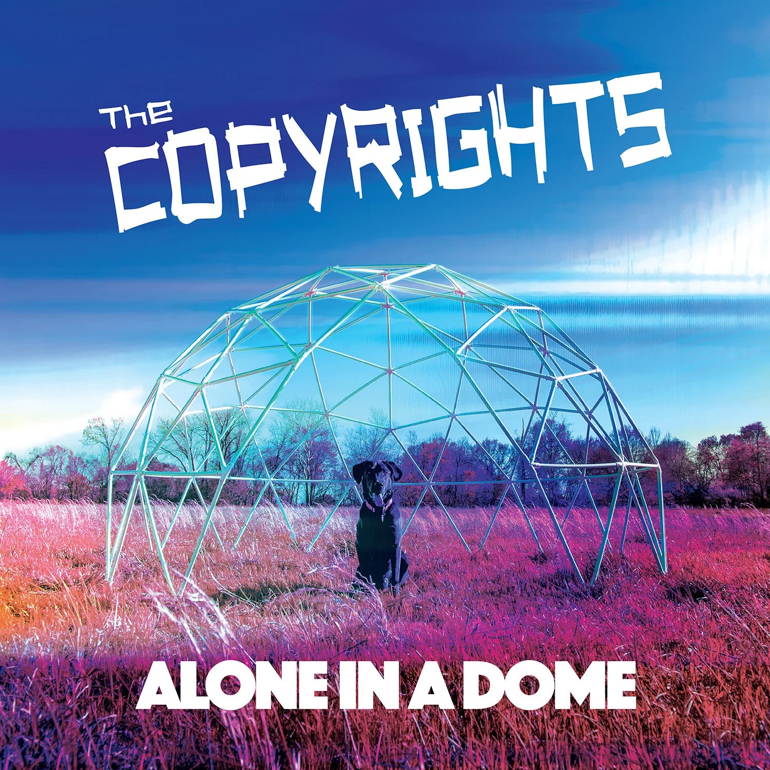 COPYRIGHTS, THE – Alone In A Dome