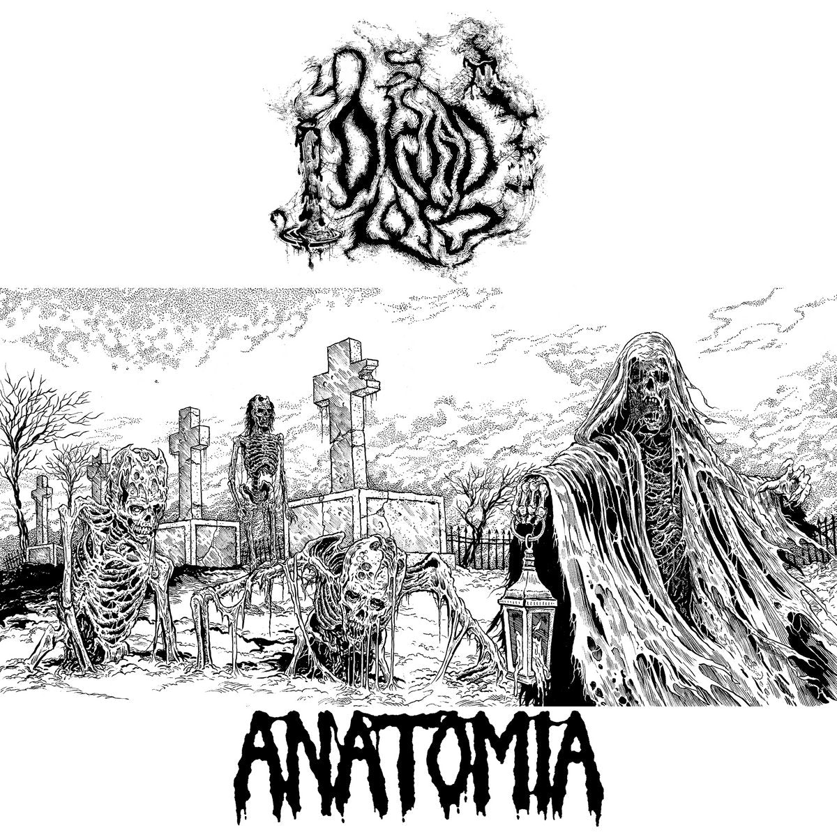 ANATOMIA / DRUID LORD split 7"