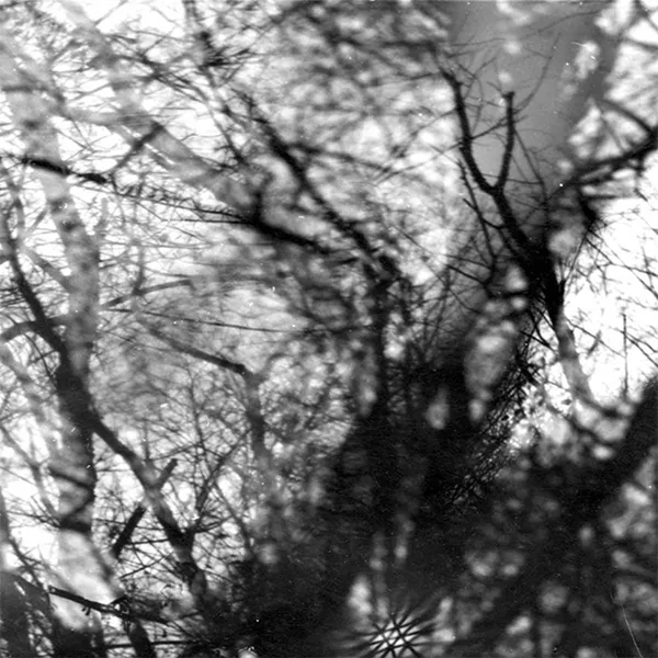 GROUPER – WAY THEIR CREPT