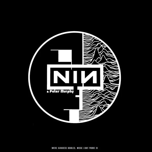 NINE INCH NAILS – WHERE DARKNESS DOUBLES, WHERE LIGHT POURS IN