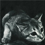 CINDY - Self Titled LP