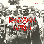 Desgrasia Jubenil ‎– Máxico