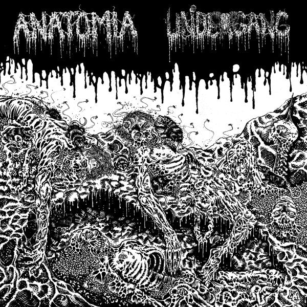 UNDERGANG/ANATOMIA - split
