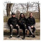 Sebadoh ‎– Act Surprised