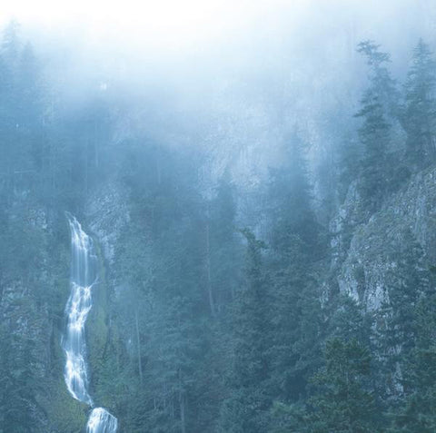 Wolves In The Throne Room ‎– Diadem Of 12 Stars