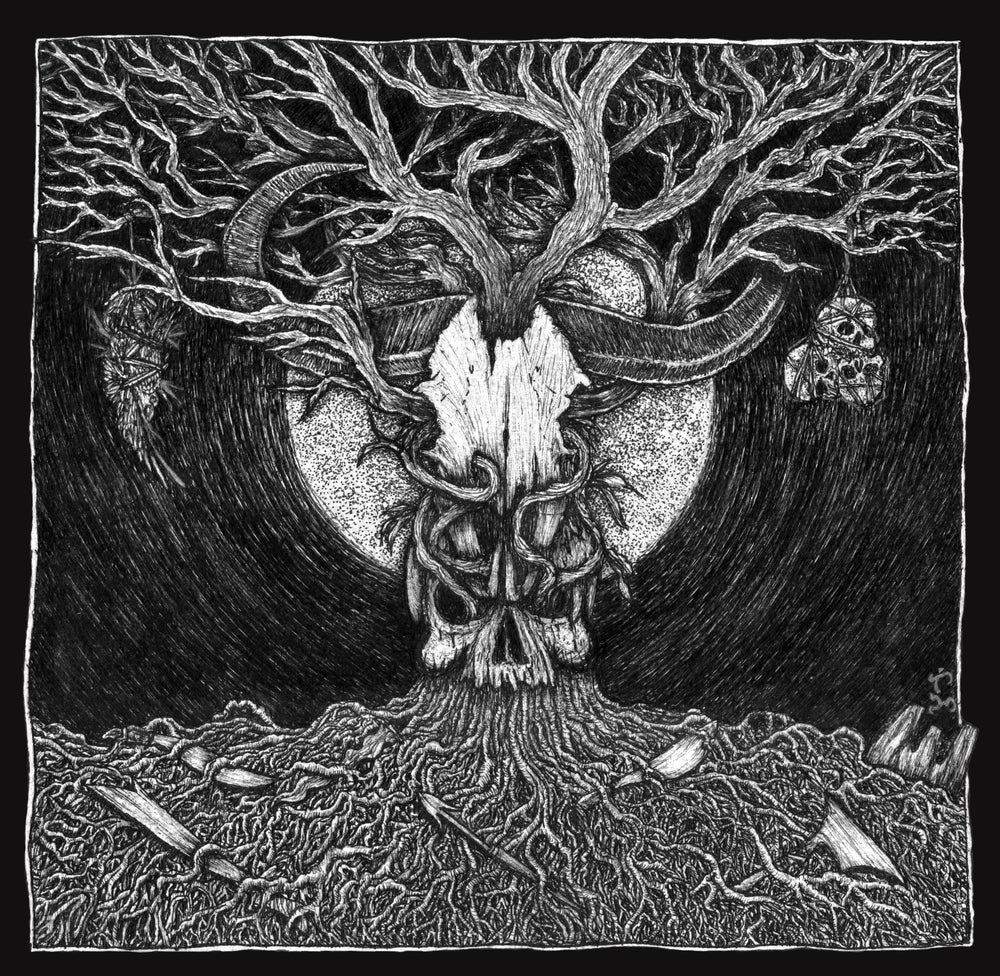 ANINOKO - Ugat