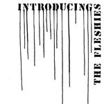 FLESHIES - Introducing the Fleshies LP